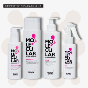 In Perfect Repair & Shine Kit