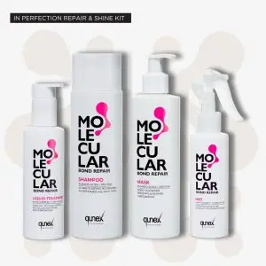 In Perfect Repair & Shine Kit